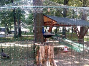 Rastaurantul Palatului Stirbey, pe Domeniul Stirbey de la Buftea