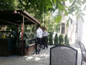 Rastaurantul Palatului Stirbey, pe Domeniul Stirbey de la Buftea