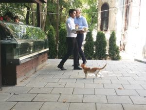 Rastaurantul Palatului Stirbey, pe Domeniul Stirbey de la Buftea