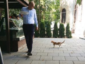 Rastaurantul Palatului Stirbey, pe Domeniul Stirbey de la Buftea