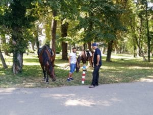 Rastaurantul Palatului Stirbey, pe Domeniul Stirbey de la Buftea