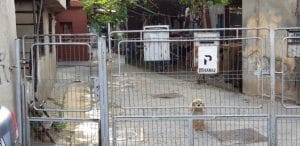 Strada Duzilor, cu restaurantul cu terasa boema Modelier