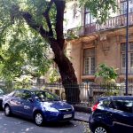 Strada Vasile Lascar cam pe unde e Gradina Sticlarilor