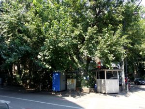 Strada Vasile Lascar si Bucurestiul vechi din jurul ei