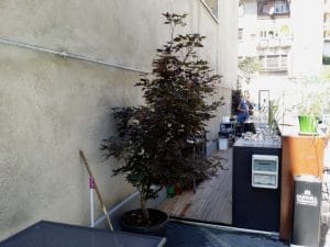 Terasa Beans & Dots, cafenea si concept store din Palatul Universul