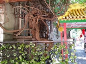 Pengyou, restaurant chinezesc pe strada Occidentului