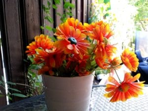 Pengyou, restaurant chinezesc pe strada Occidentului