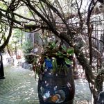Terasa Piranha, restaurant si club in Regie