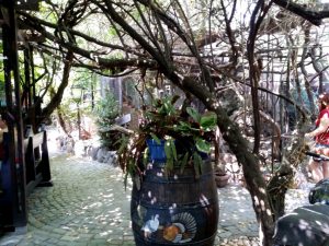 Terasa Piranha, restaurant si club in Regie