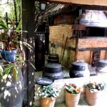 Terasa Piranha, restaurant si club in Regie