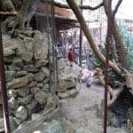 Terasa Piranha, restaurant si club in Regie