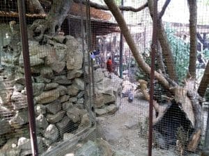 Terasa Piranha, restaurant si club in Regie