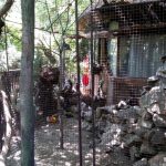 Terasa Piranha, restaurant si club in Regie