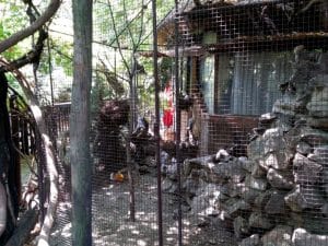 Terasa Piranha, restaurant si club in Regie