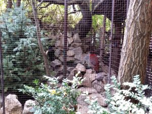 Terasa Piranha, restaurant si club in Regie