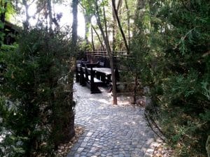 Terasa Piranha, restaurant si club in Regie