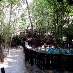 Terasa Piranha, restaurant si club in Regie