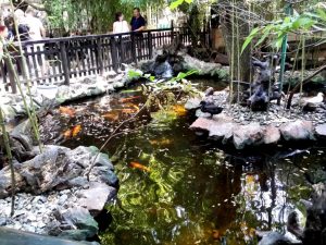 Terasa Piranha, restaurant si club in Regie