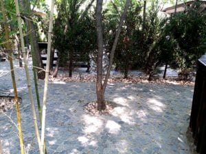 Terasa Piranha, restaurant si club in Regie