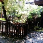 Terasa Piranha, restaurant si club in Regie