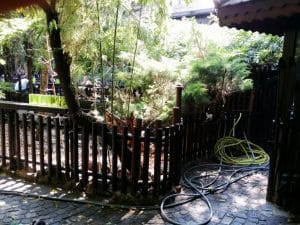 Terasa Piranha, restaurant si club in Regie