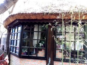 Terasa Piranha, restaurant si club in Regie