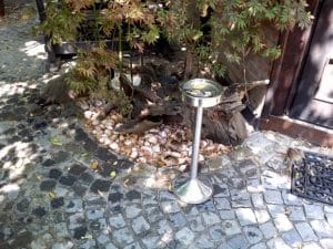 Terasa Piranha, restaurant si club in Regie