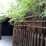 Terasa Piranha, restaurant si club in Regie