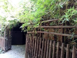 Terasa Piranha, restaurant si club in Regie