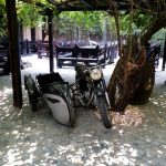 Terasa Piranha, restaurant si club in Regie