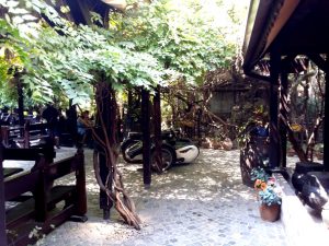 Terasa Piranha, restaurant si club in Regie