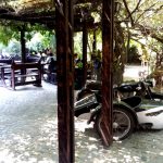 Terasa Piranha, restaurant si club in Regie