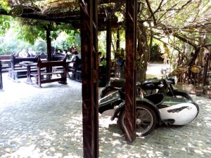 Terasa Piranha, restaurant si club in Regie