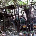 Terasa Piranha, restaurant si club in Regie