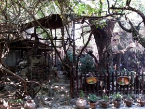 Terasa Piranha, restaurant si club in Regie