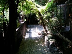 Terasa Piranha, restaurant si club in Regie