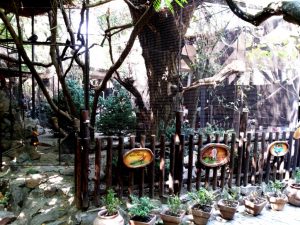 Terasa Piranha, restaurant si club in Regie