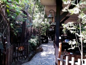 Terasa Piranha, restaurant si club in Regie