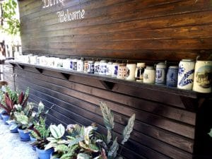 Terasa Piranha, restaurant si club in Regie