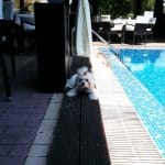 Vanity, restaurant, terasa si ballroom in Regie