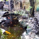 Vietatile de la Piranha, restaurant club in Regie