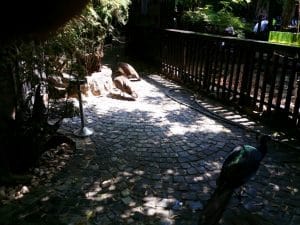 Vietatile de la Piranha, restaurant club in Regie