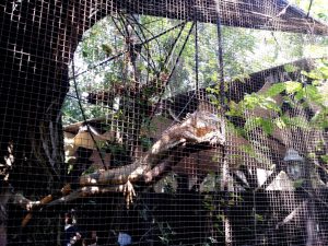 Vietatile de la Piranha, restaurant club in Regie