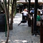 Vietatile de la Piranha, restaurant club in Regie