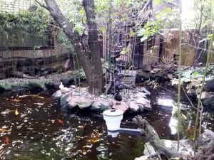 Vietatile de la Piranha, restaurant club in Regie