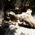 Vietatile de la Piranha, restaurant club in Regie