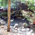 Vietatile de la Piranha, restaurant club in Regie