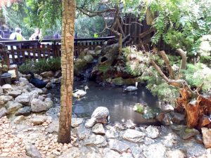 Vietatile de la Piranha, restaurant club in Regie