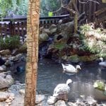 Vietatile de la Piranha, restaurant club in Regie