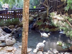 Vietatile de la Piranha, restaurant club in Regie